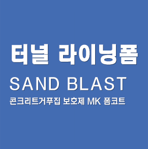 메인텍스트